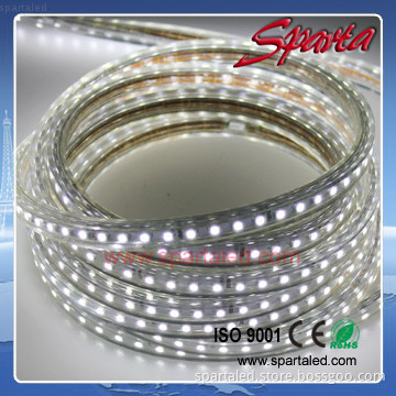 IP67 Flexible Waterproof 60 LED strip light 220v outdoor lighting